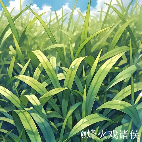 青青草官网：www.青青草.com，畅享绿色新体验